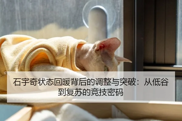石宇奇状态回暖背后的调整与突破：从低谷到复苏的竞技密码