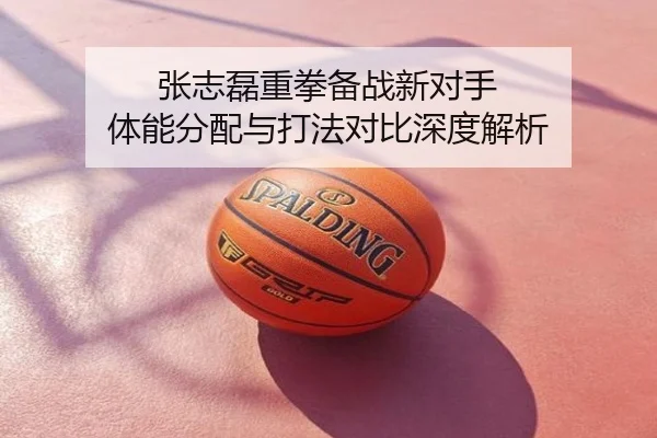 张志磊重拳备战新对手 体能分配与打法对比深度解析